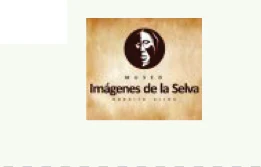 Logo de Museo Imágenes de la Selva