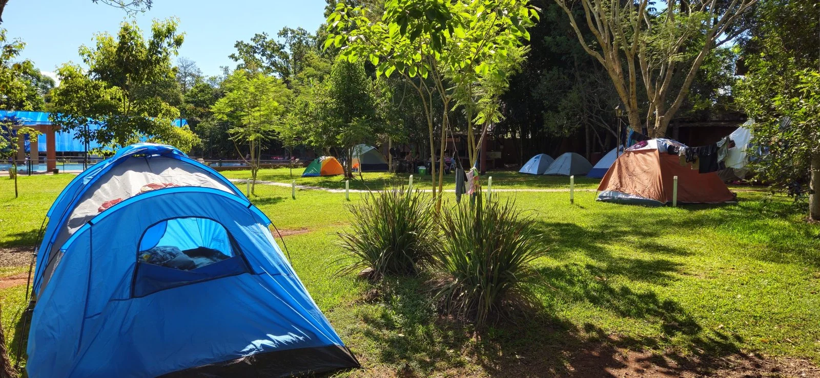 Camping pitches among the trees in the Misiones rainforest at Tierra Roja, Puerto Iguazú