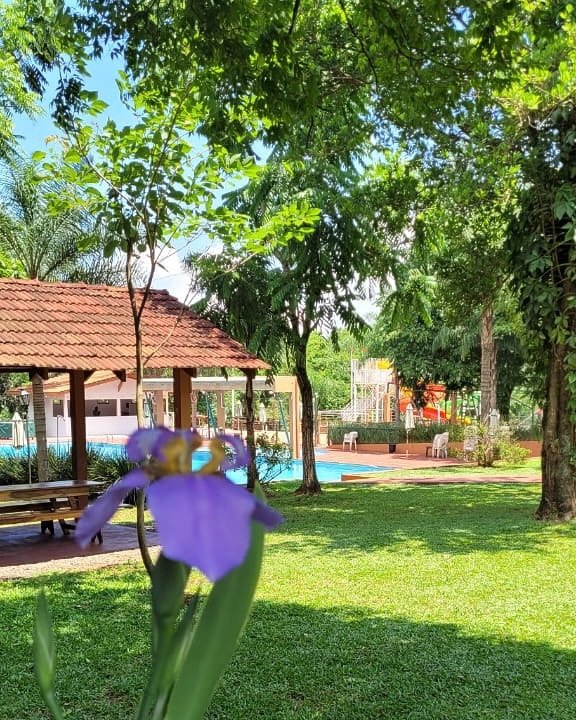 SaveClip.App_464732069_558053726924268_2942192018993429014_n