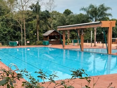 SaveClip.App_460951324_2642317599282583_6647141049790158028_n